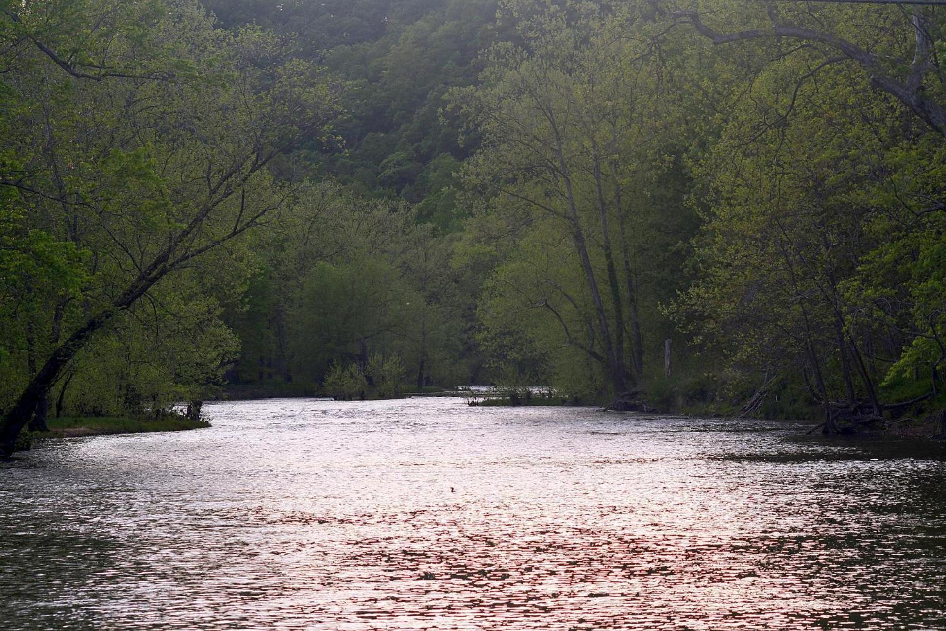 River Walk Cottage - Hot Tub - Pet Friendly - Swing - Screen Porch - River Access - Fire Pit - Wifi - Grill - Deck - King Bed Great Cacapon Zewnętrze zdjęcie