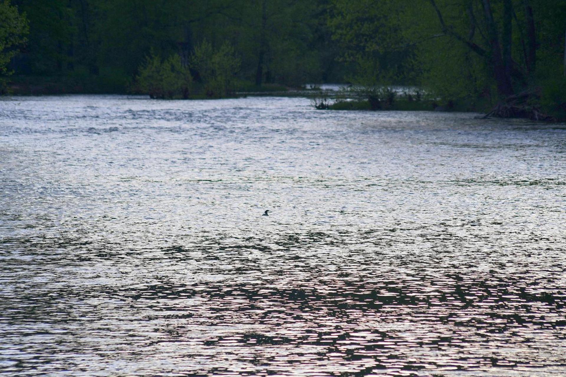 River Walk Cottage - Hot Tub - Pet Friendly - Swing - Screen Porch - River Access - Fire Pit - Wifi - Grill - Deck - King Bed Great Cacapon Zewnętrze zdjęcie