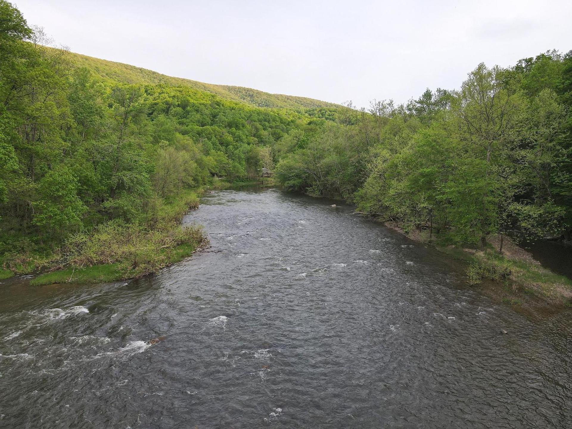 River Walk Cottage - Hot Tub - Pet Friendly - Swing - Screen Porch - River Access - Fire Pit - Wifi - Grill - Deck - King Bed Great Cacapon Zewnętrze zdjęcie