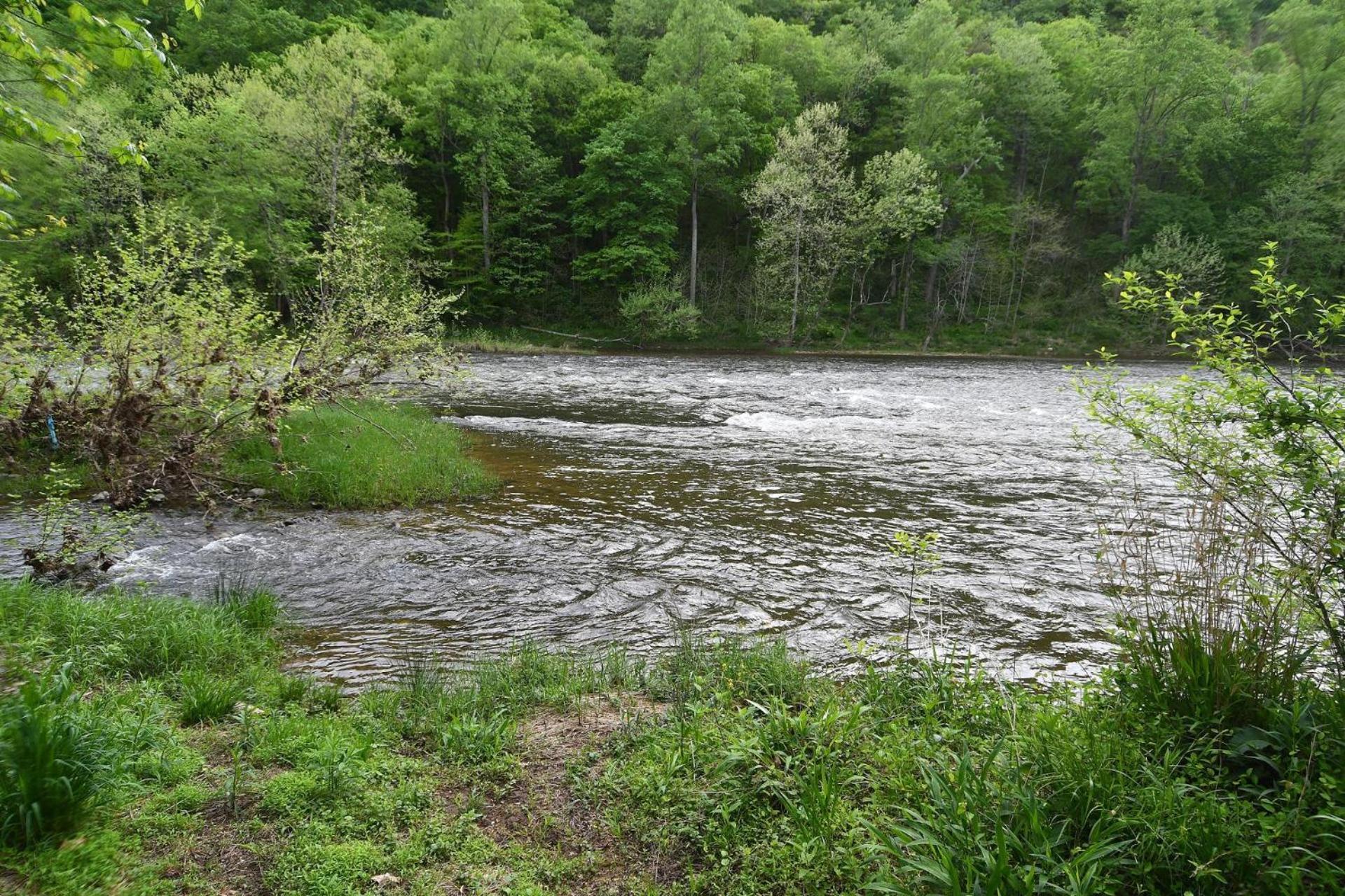 River Walk Cottage - Hot Tub - Pet Friendly - Swing - Screen Porch - River Access - Fire Pit - Wifi - Grill - Deck - King Bed Great Cacapon Zewnętrze zdjęcie