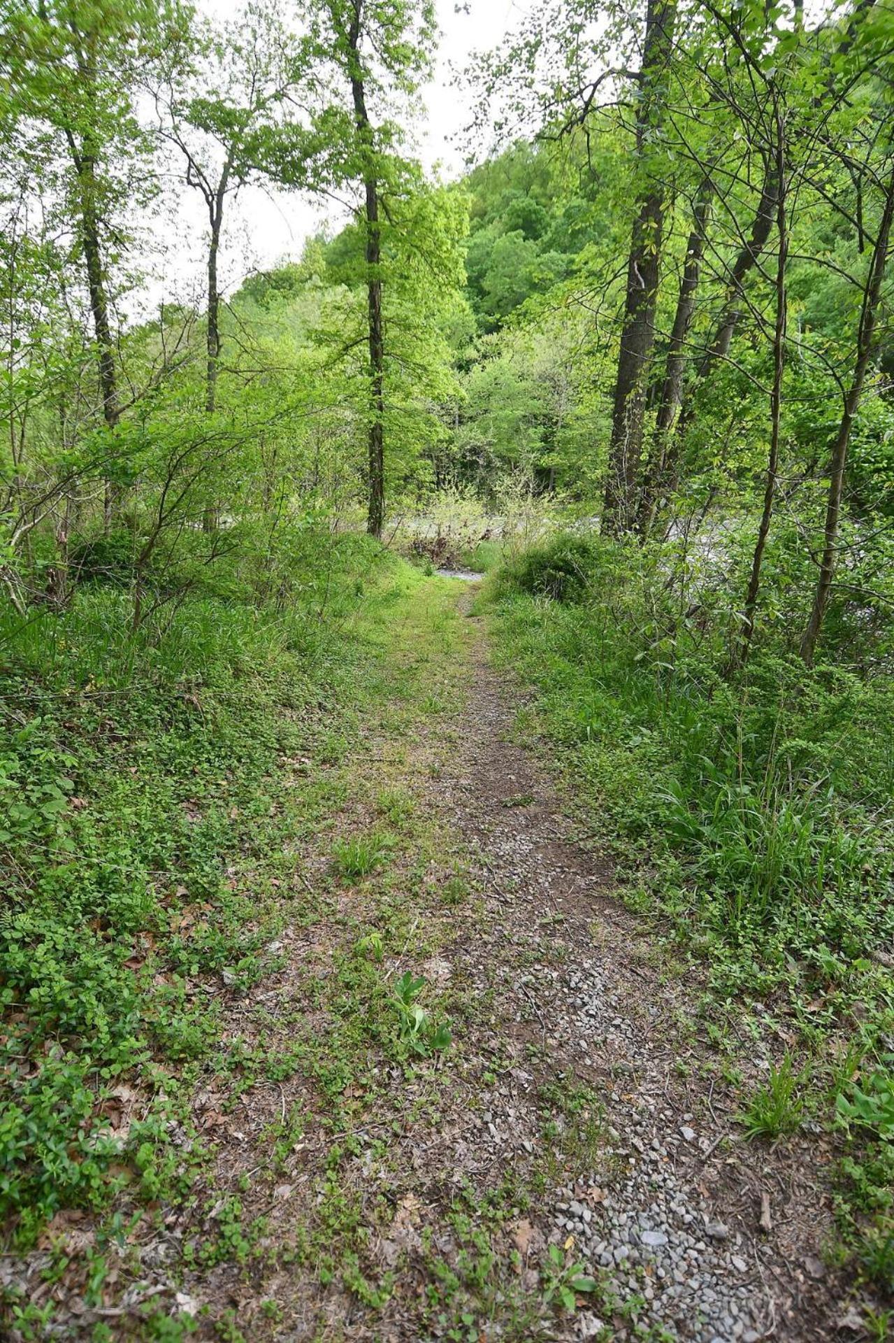 River Walk Cottage - Hot Tub - Pet Friendly - Swing - Screen Porch - River Access - Fire Pit - Wifi - Grill - Deck - King Bed Great Cacapon Zewnętrze zdjęcie