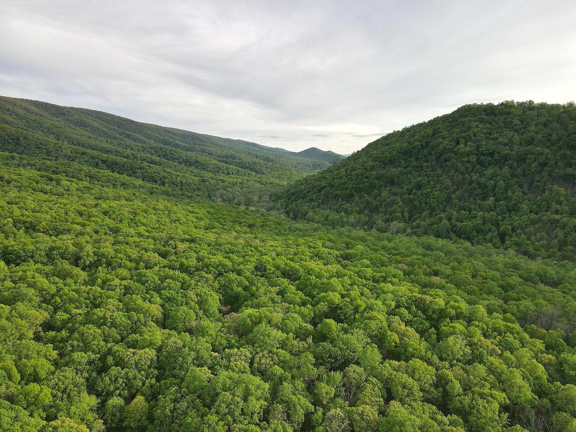 River Walk Cottage - Hot Tub - Pet Friendly - Swing - Screen Porch - River Access - Fire Pit - Wifi - Grill - Deck - King Bed Great Cacapon Zewnętrze zdjęcie
